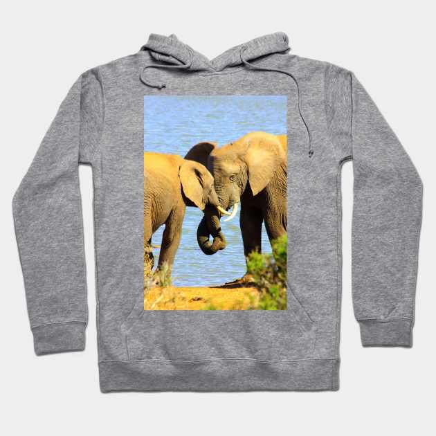 African Wildlife Photography Elephant love Hoodie by PathblazerStudios